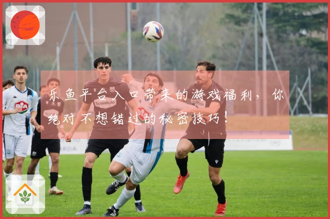 乐鱼平台入口带来的游戏福利，你绝对不想错过的秘密技巧！